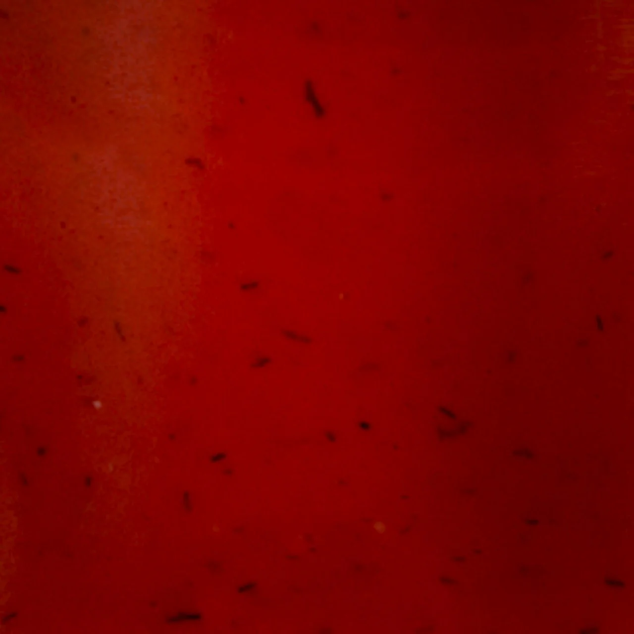 Frank's RedHot® Korean BBQ Squeeze Hot Sauce, 12 fl oz - Image 15