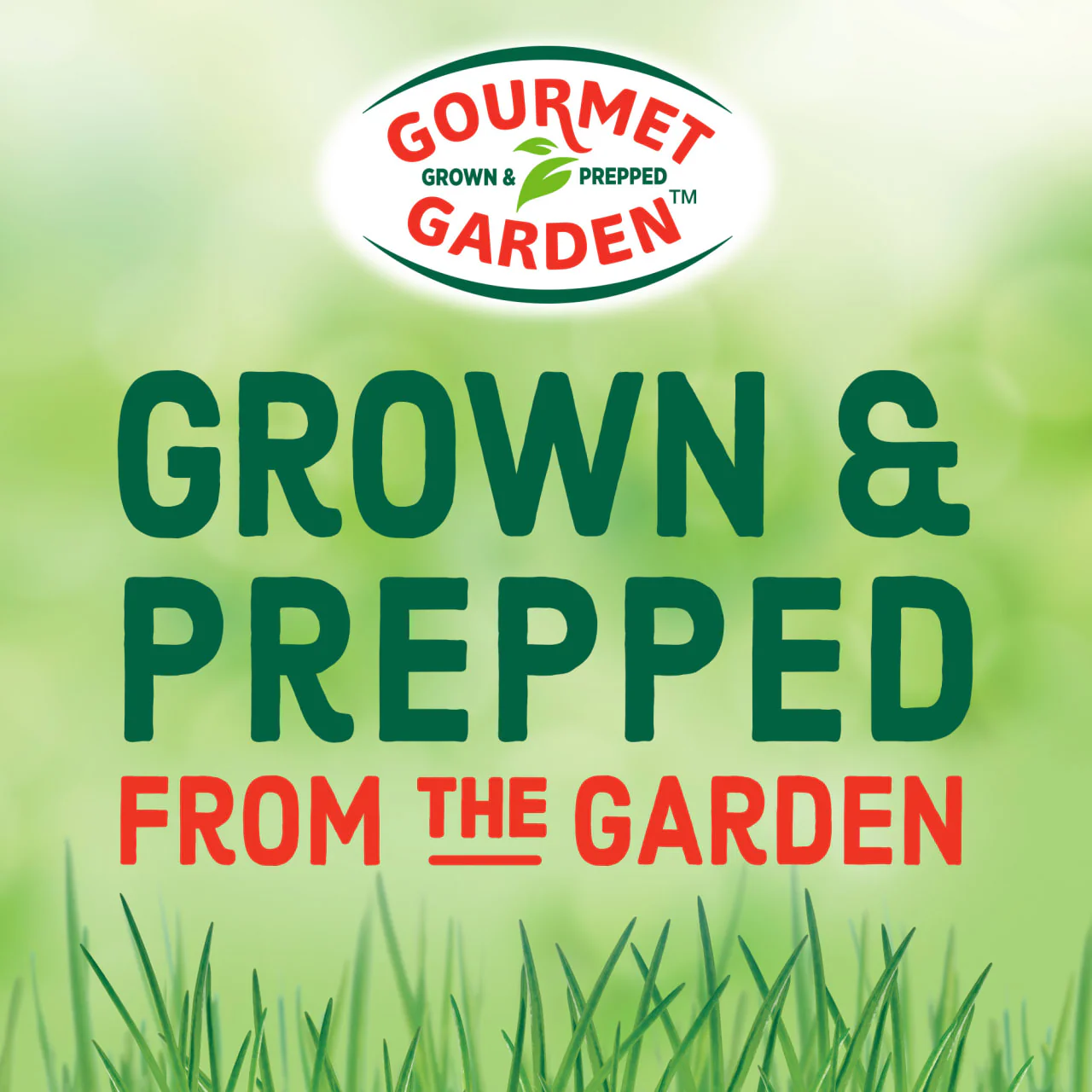 Gourmet Garden™ Ginger Stir-In Paste, 4 oz - Image 20