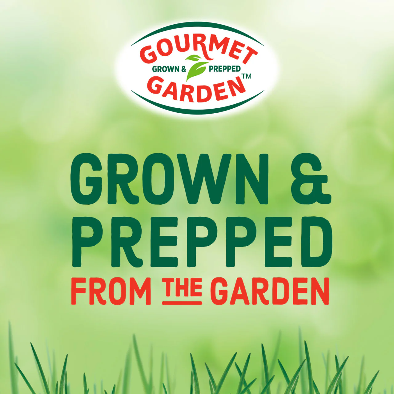 Gourmet Garden™ Green Onion Paste, 4 oz - Image 20