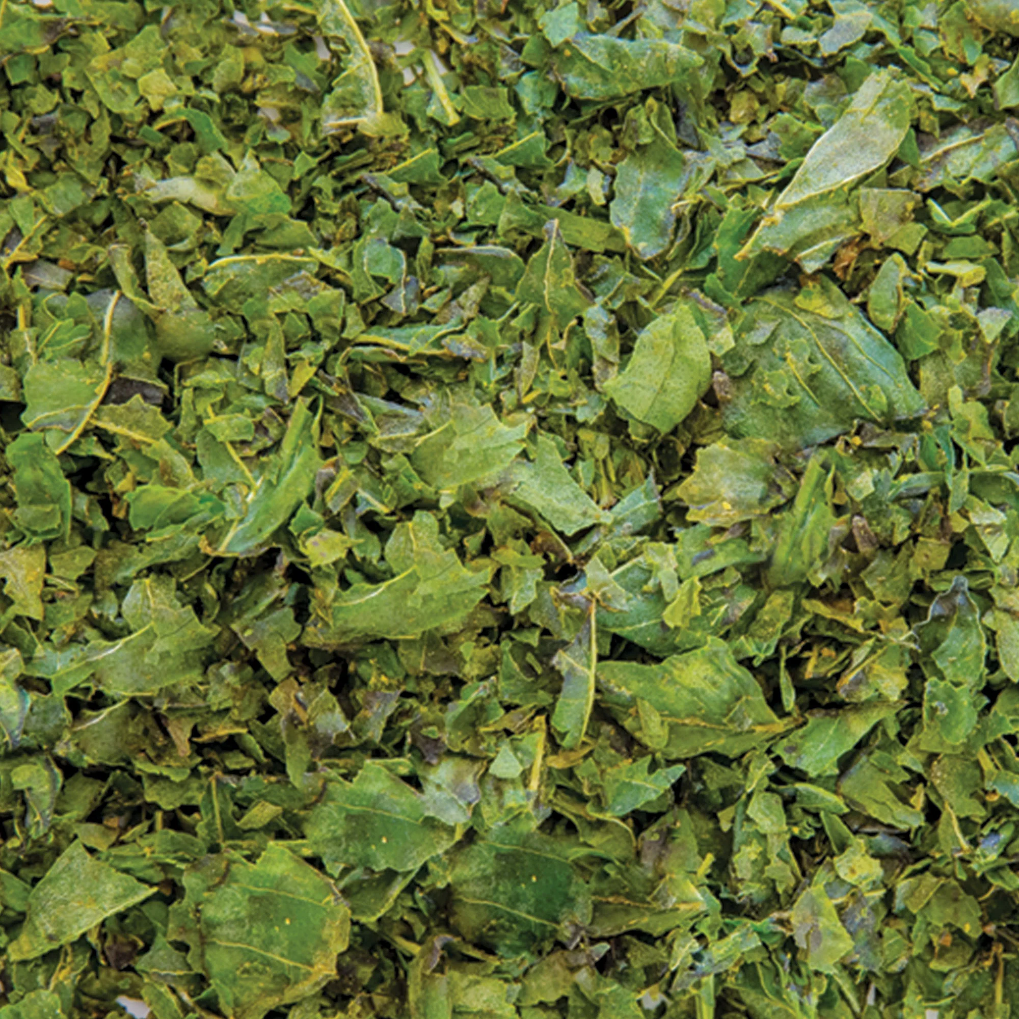 Gourmet Garden™ Lightly Dried Basil, 0.42 oz - Image 14
