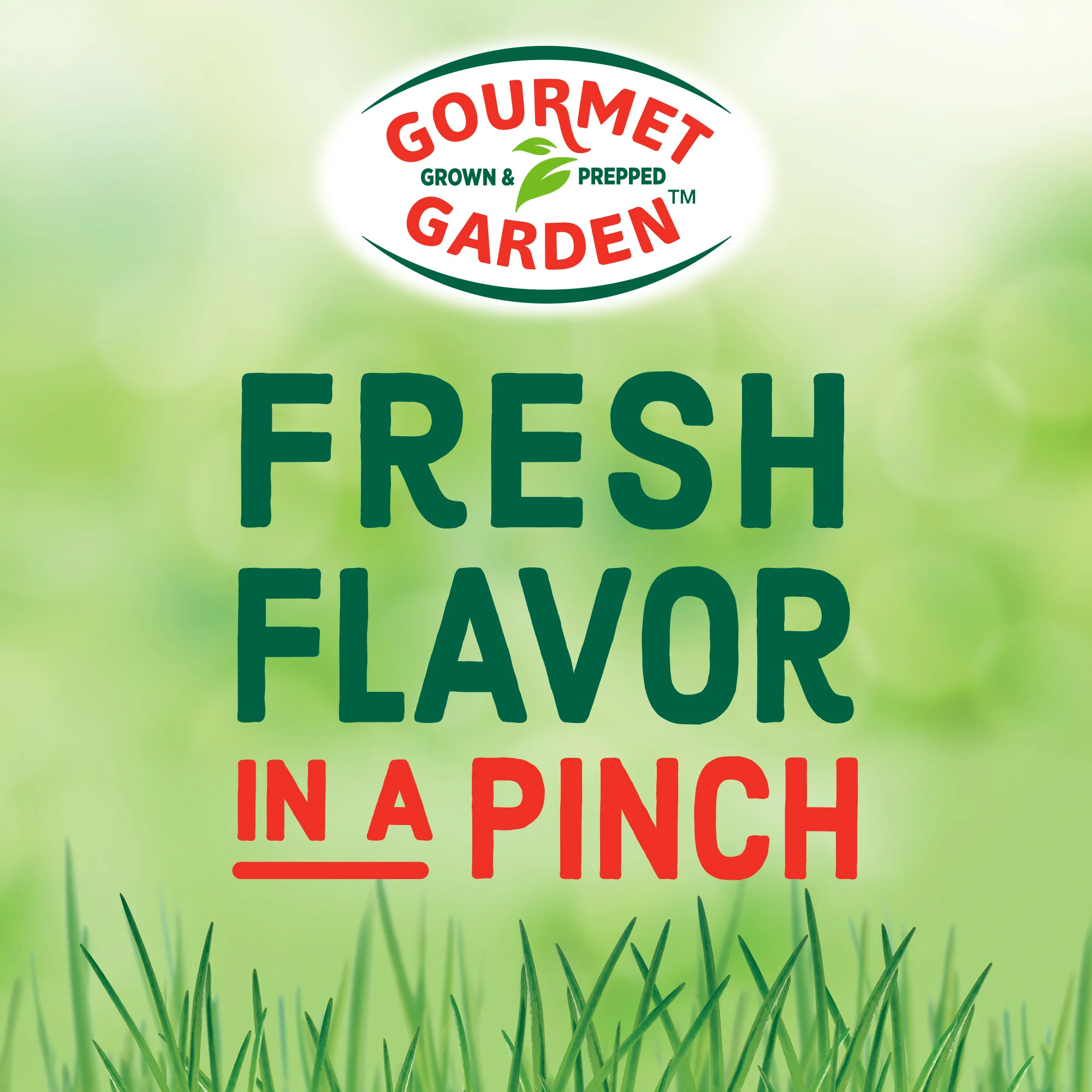 Gourmet Garden™ Lightly Dried Basil, 0.42 oz - Image 8