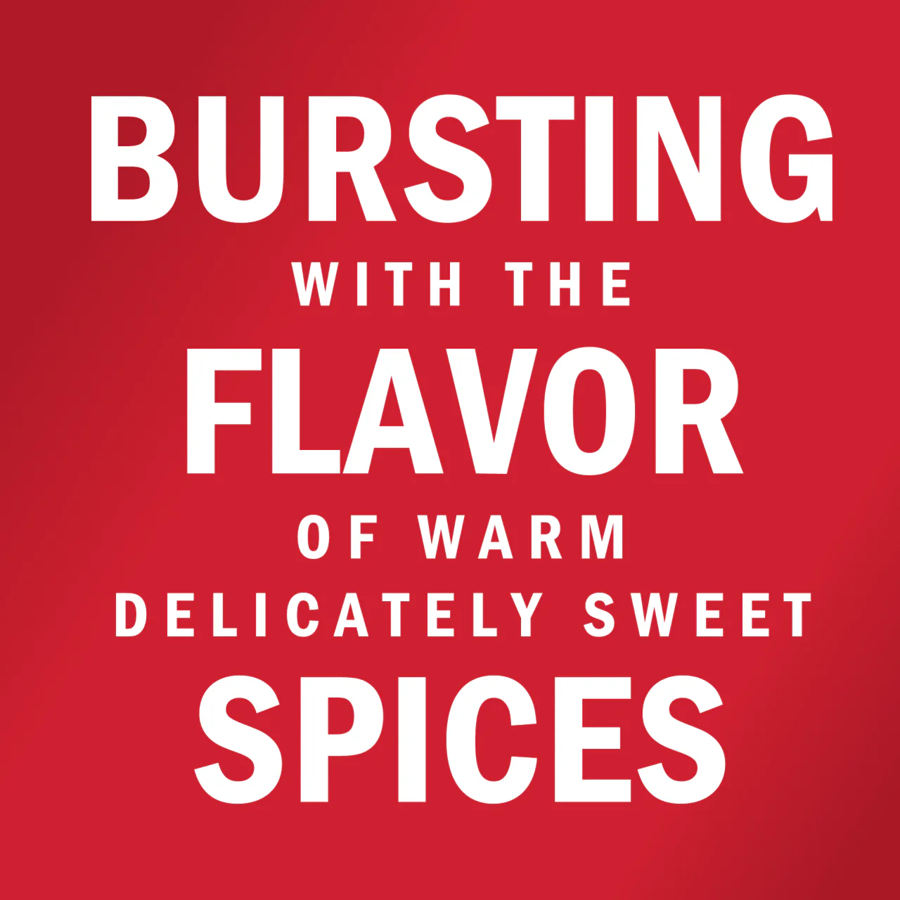 McCormick® Apple Pie Spice, 1.12 oz - Image 5
