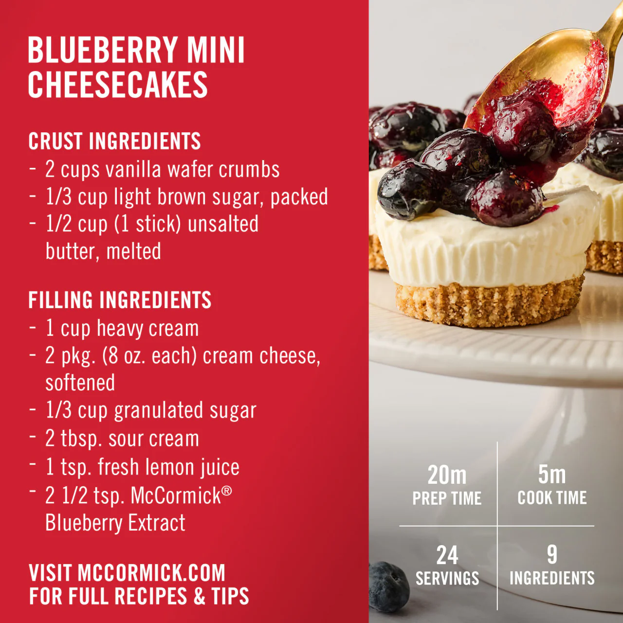 McCormick® Blueberry Extract, 1.00 fl oz - Image 6