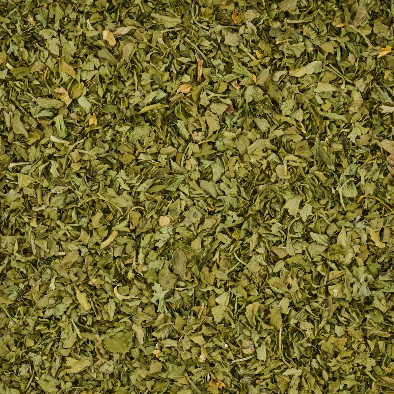 McCormick Gourmet™ All Natural Flat Leaf Parsley, 0.2 oz - Image 12