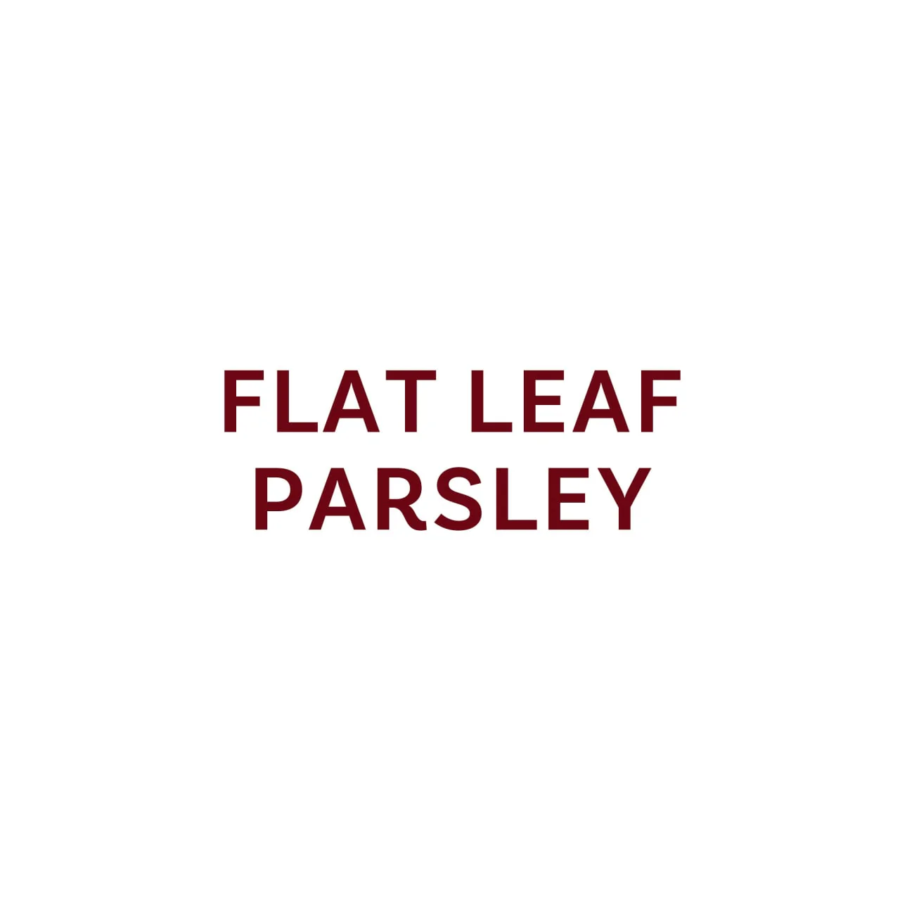 McCormick Gourmet™ All Natural Flat Leaf Parsley, 0.2 oz - Image 9