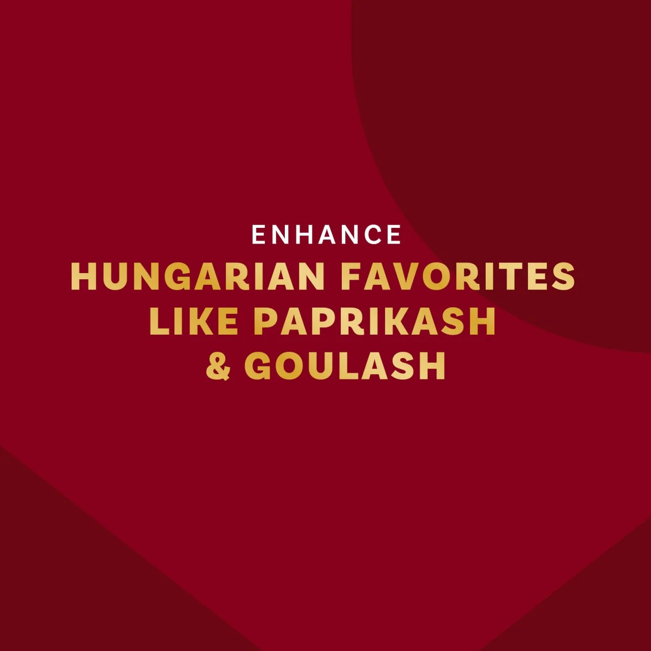 McCormick Gourmet™ All Natural Hot Hungarian Paprika, 1.62 oz - Image 13