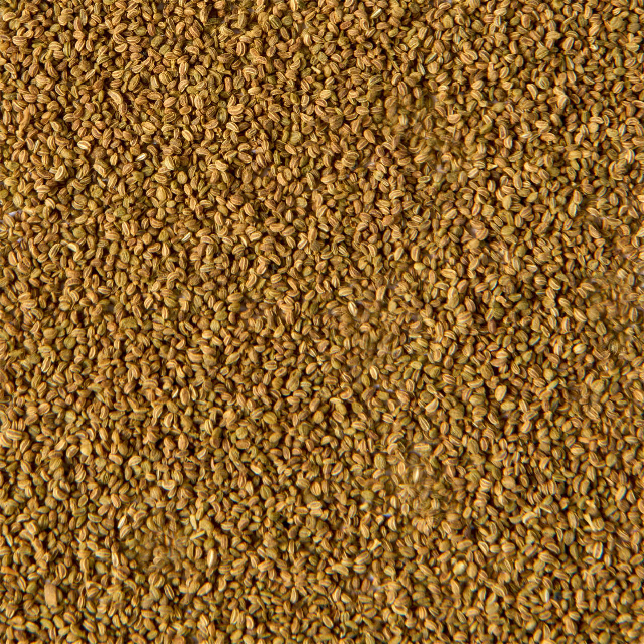 McCormick Gourmet™ Celery Seed, 1.62 oz - Image 12