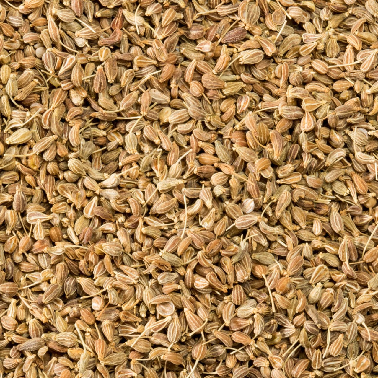 McCormick Gourmet™ Organic Anise Seed, 1.37 oz - Image 12