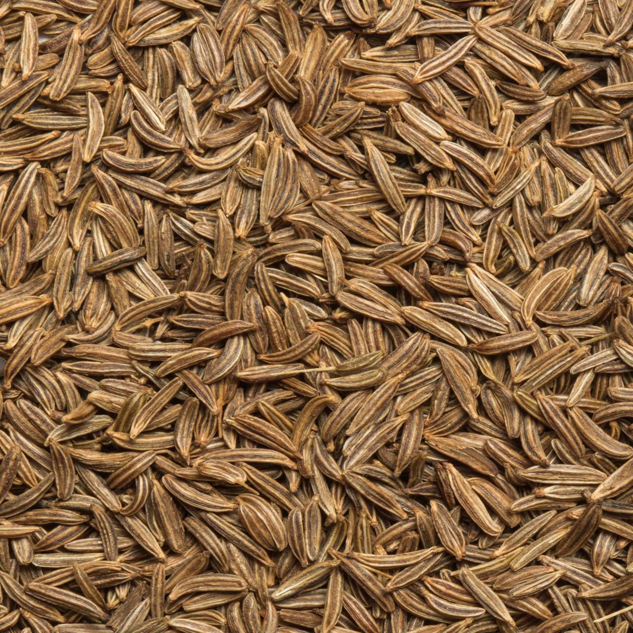 McCormick Gourmet™ Organic Caraway Seed, 1.62 oz - Image 12