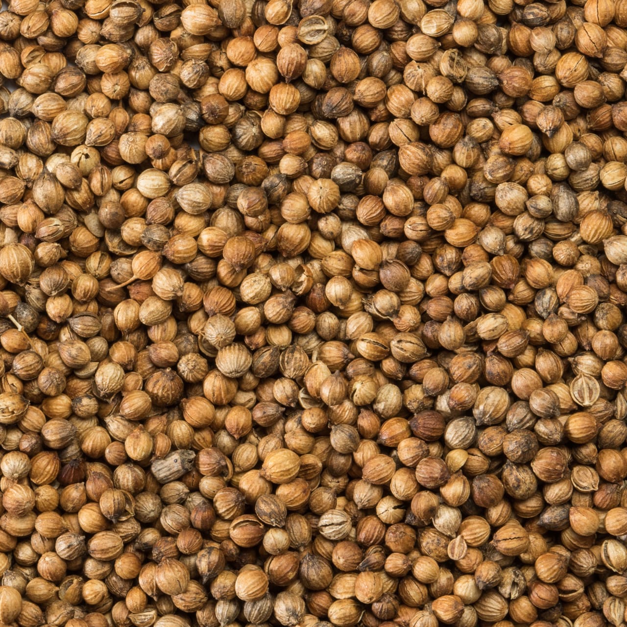 McCormick Gourmet™ Organic Coriander Seed, 0.87 oz - Image 12