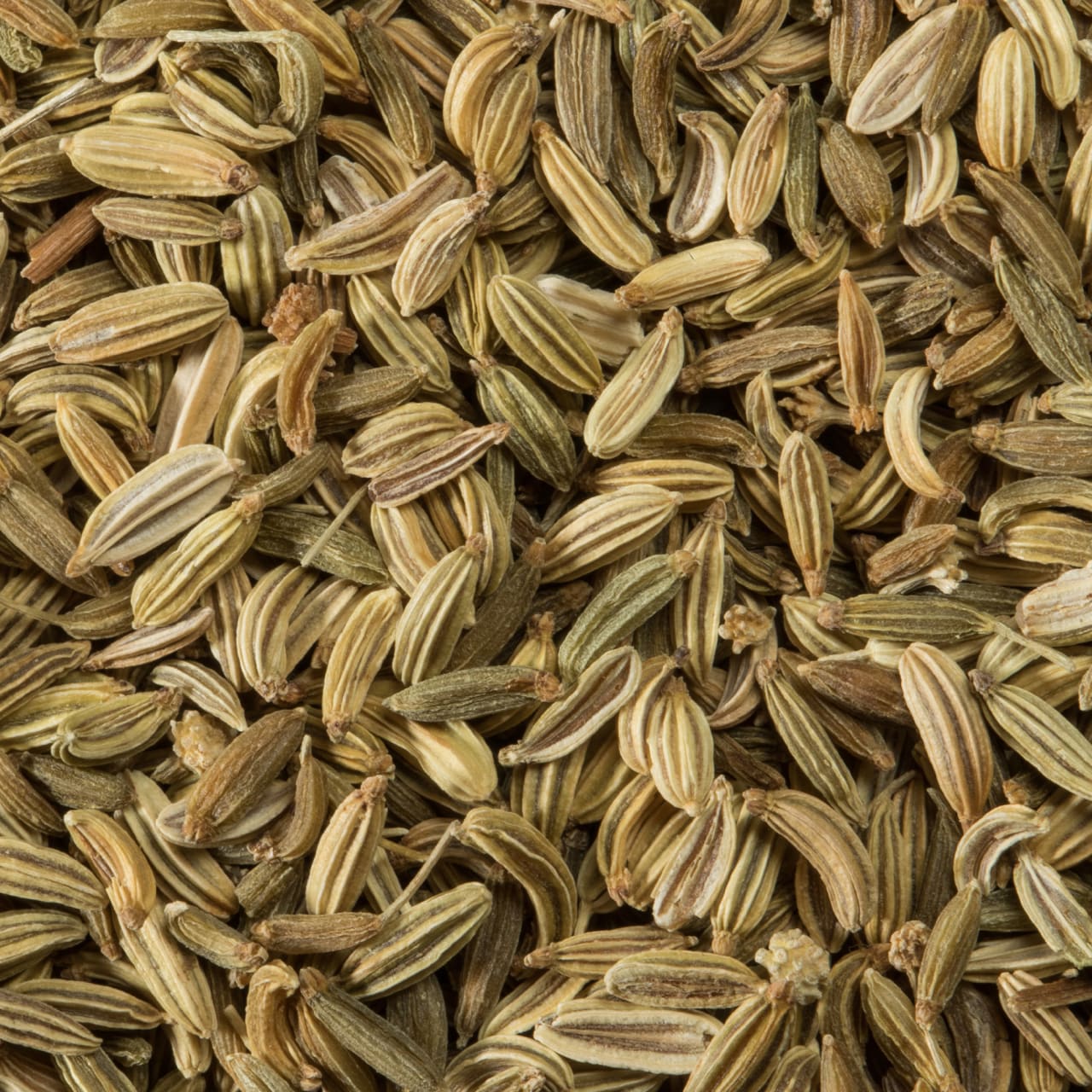 McCormick Gourmet™ Organic Fennel Seed, 1 oz - Image 12