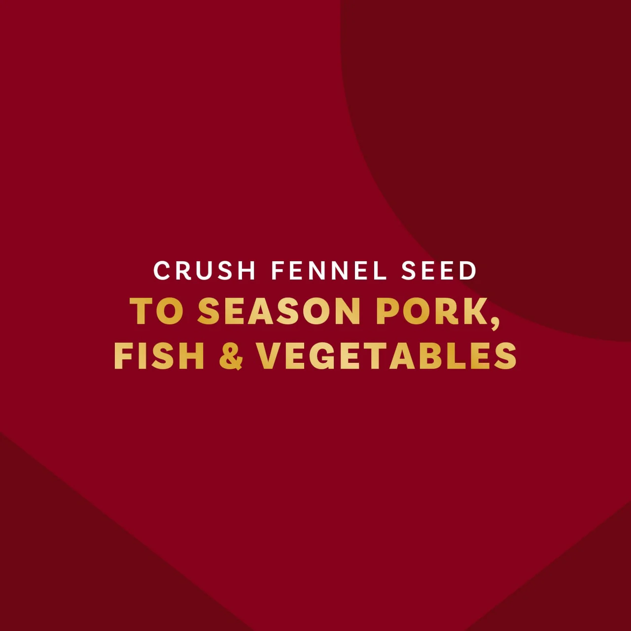 McCormick Gourmet™ Organic Fennel Seed, 1 oz - Image 5