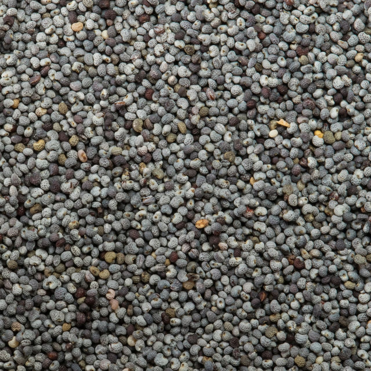 McCormick Gourmet™ Organic Poppy Seed, 2.12 oz - Image 12