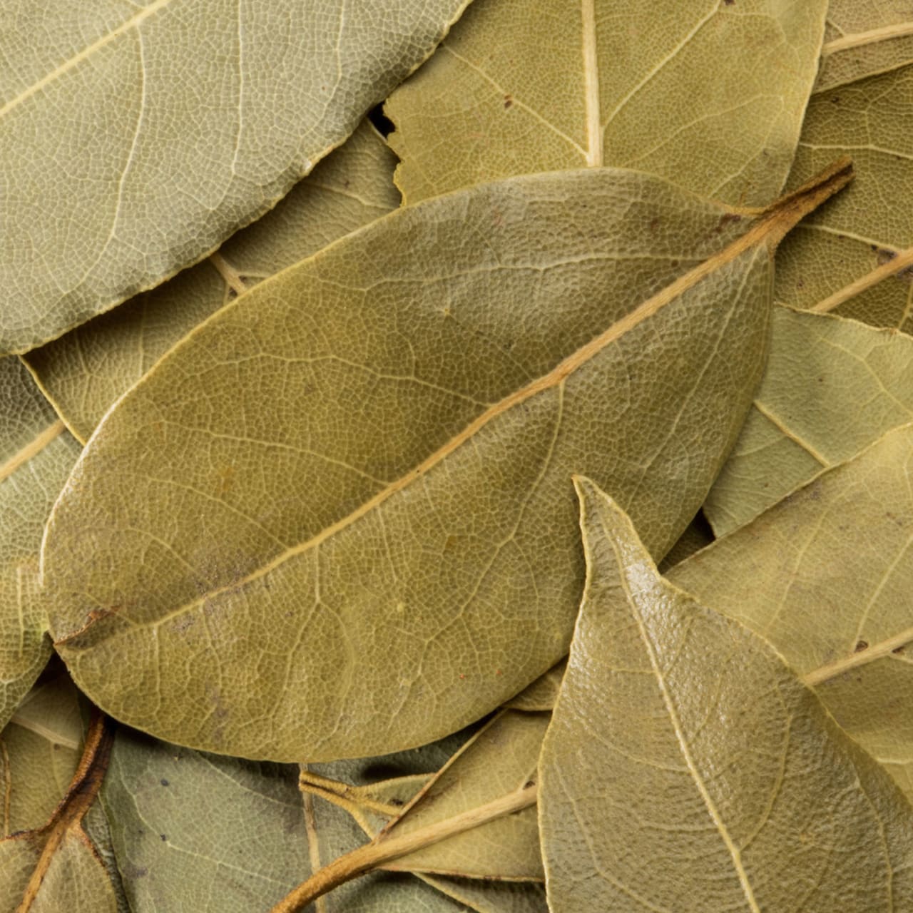 McCormick Gourmet™ Organic Turkish Bay Leaves, 0.18 oz - Image 15
