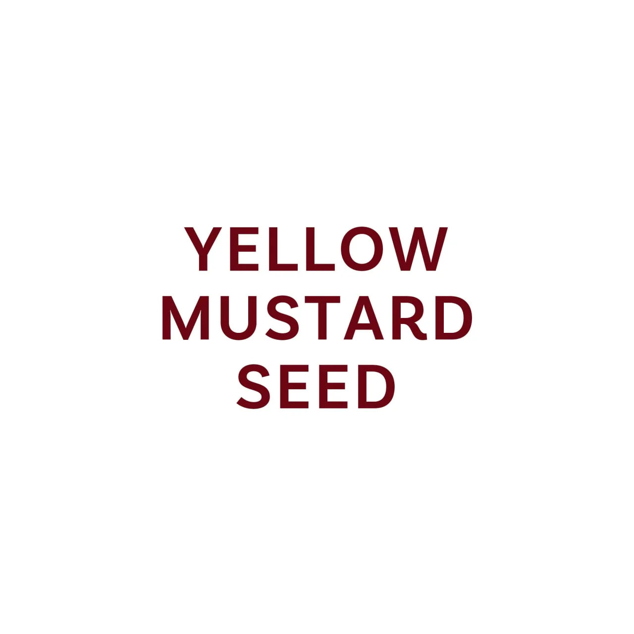 McCormick Gourmet™ Organic Yellow Mustard Seed, 2.12 oz - Image 9