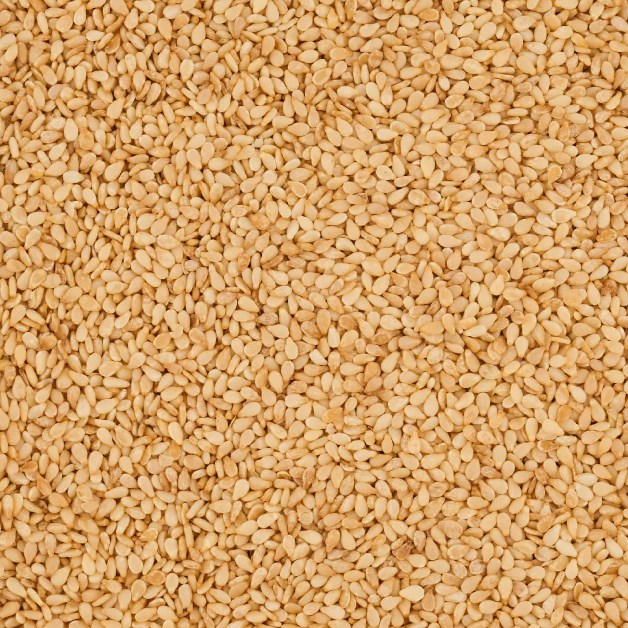 McCormick Gourmet™ Toasted Sesame Seed, 1.62 oz - Image 11