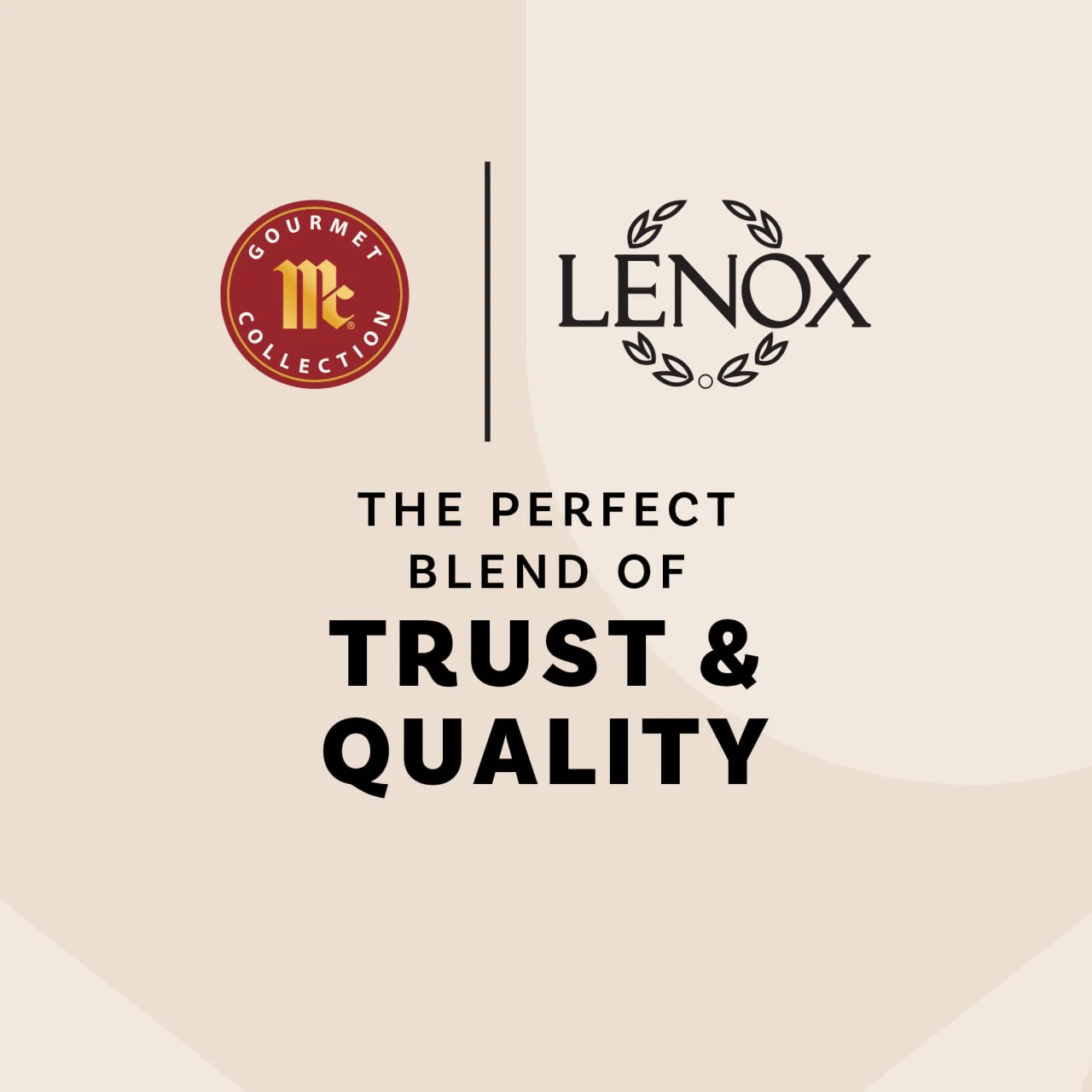 The McCormick Gourmet™ Collection & Lenox Spice Village Set of 6 - Image 7