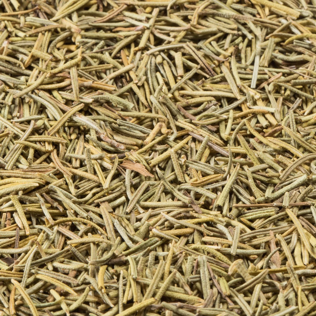 McCormick Gourmet™ Organic Rosemary, 0.65 oz - Image 12