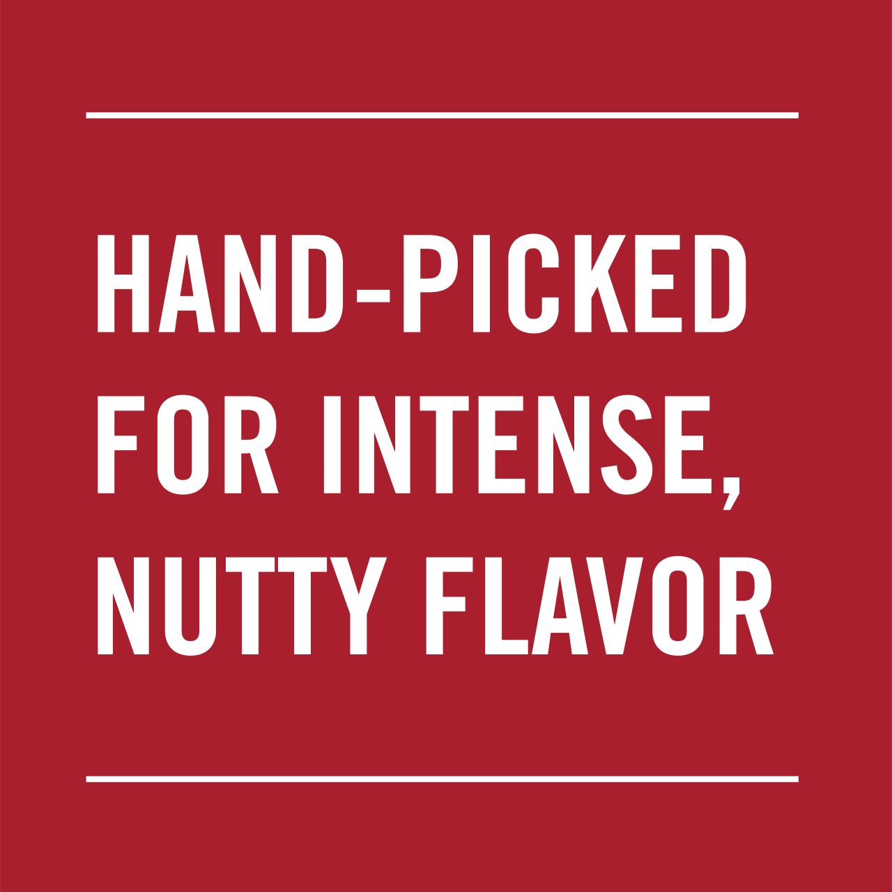 McCormick® Ground Nutmeg, 1.1 oz - Image 13