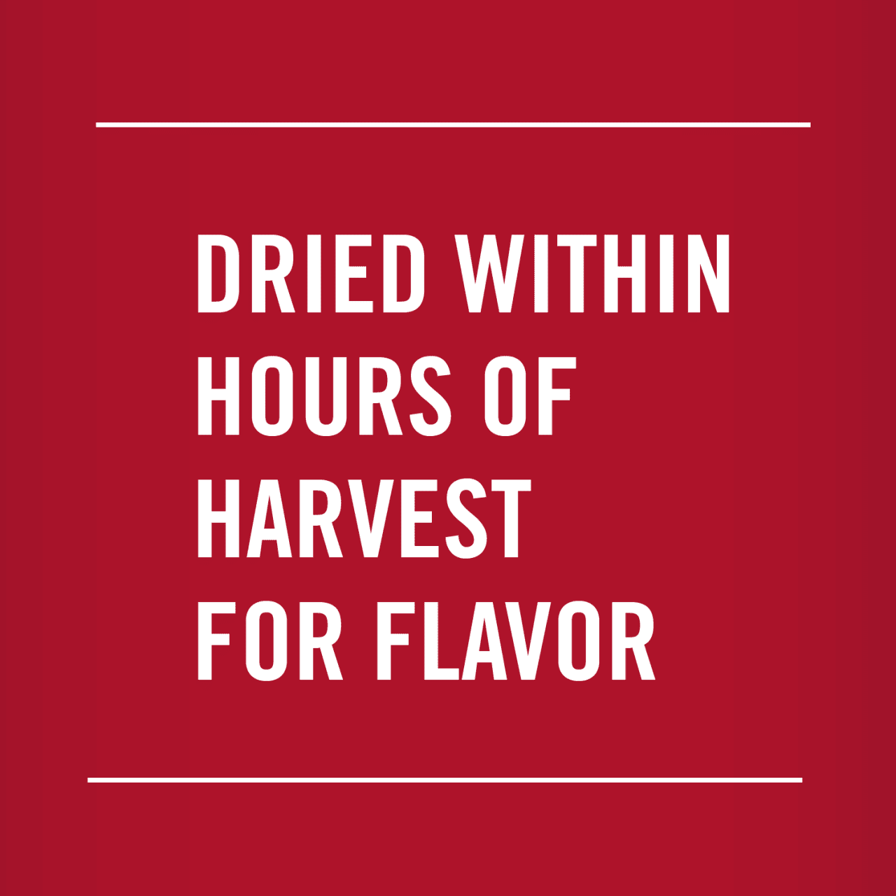 McCormick® Parsley Flakes, 0.25 oz - Image 13