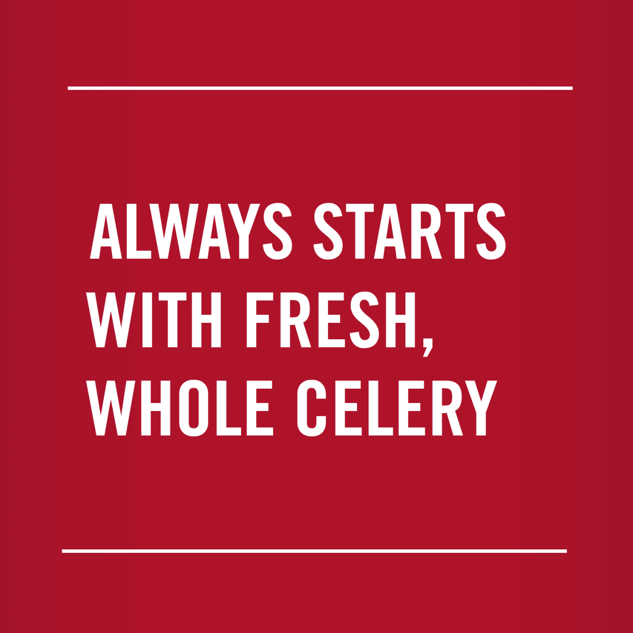 McCormick® Celery Flakes, 0.5 oz - Image 13