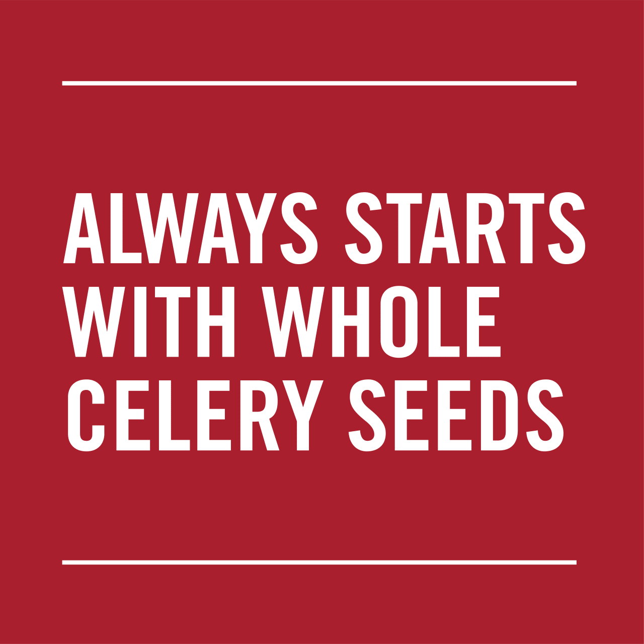 McCormick® Celery Salt, 4 oz - Image 11