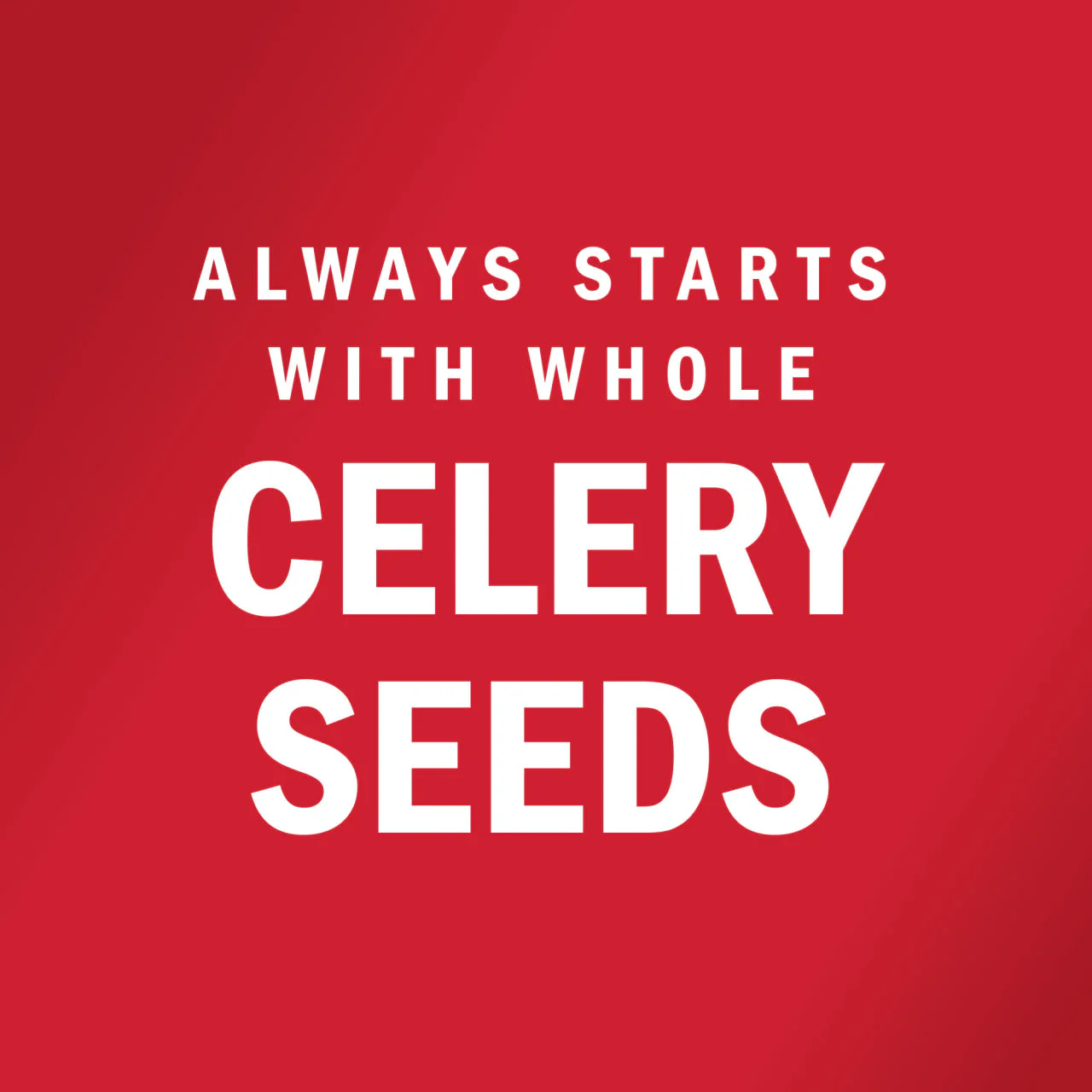 McCormick® Celery Salt, 4 oz - Image 3