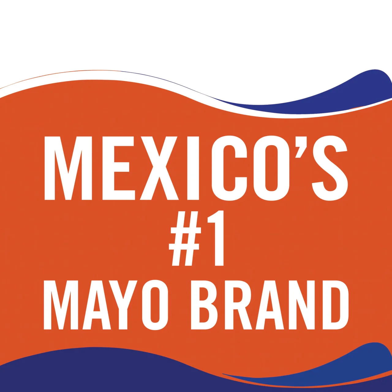 McCormick® Chipotle Mayonnaise Dressing, 11.6 fl oz - Image 7