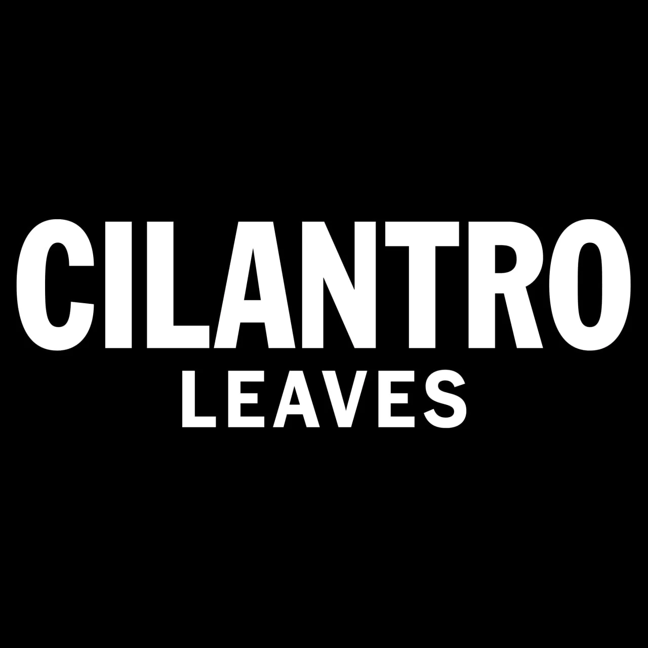 McCormick® Cilantro Leaves, 0.5 oz - Image 19