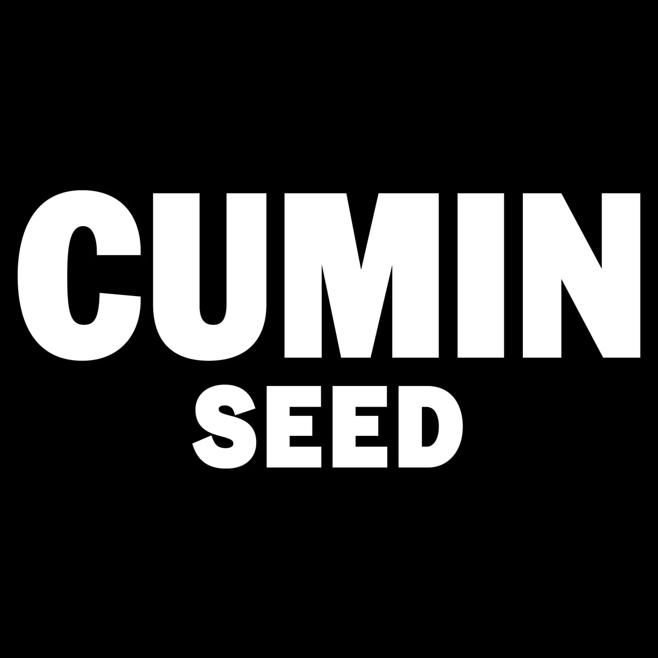 McCormick® Cumin Seed, 0.95 oz - Image 11