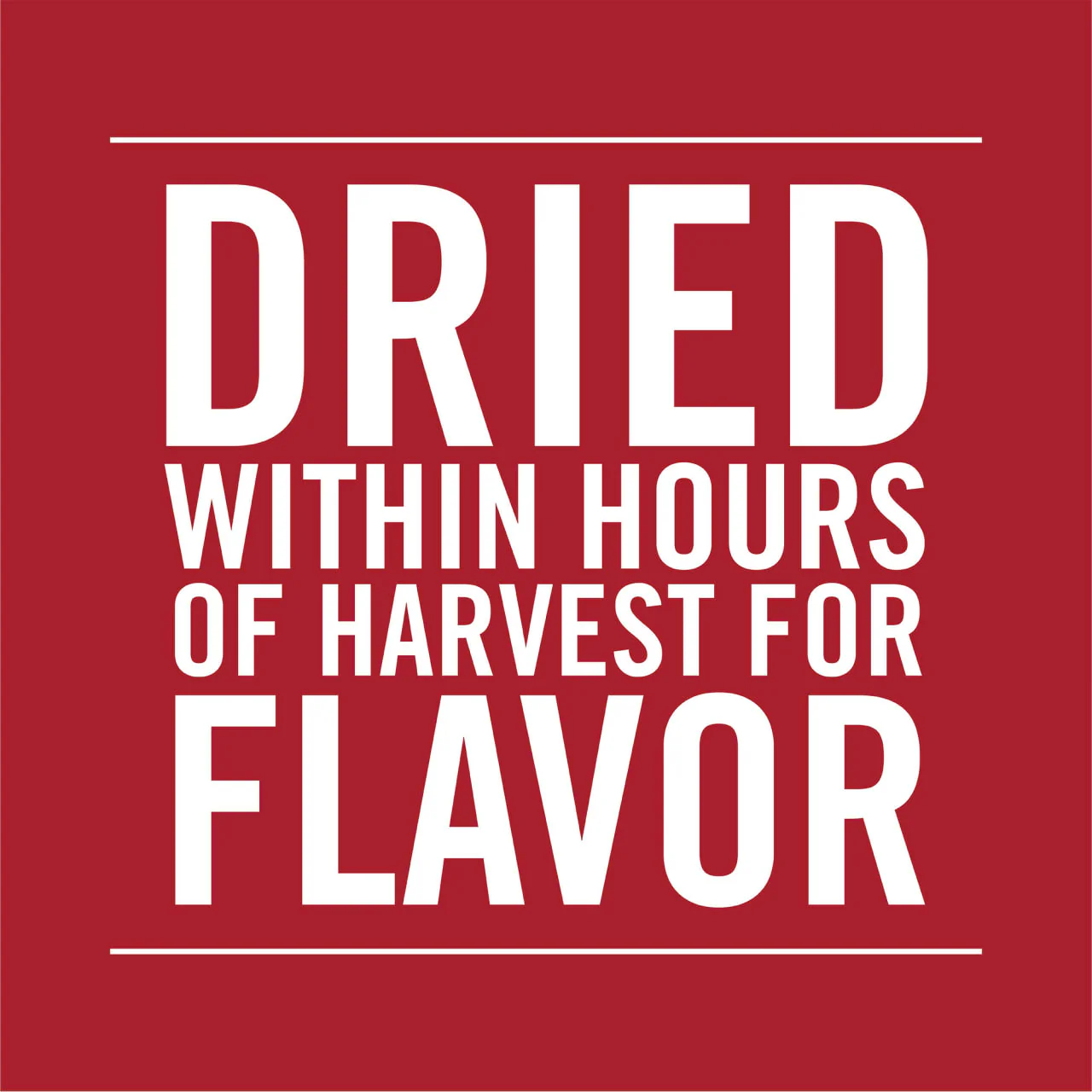 McCormick® Dill Weed, 0.3 oz - Image 13