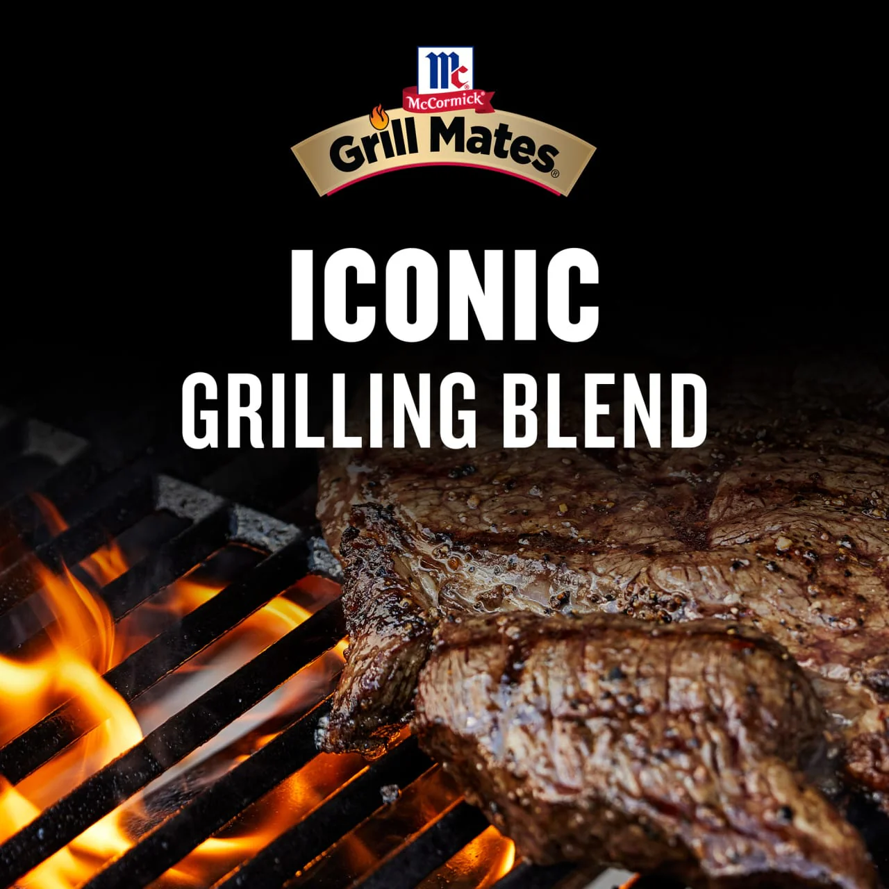 McCormick® Grill Mates® Mesquite Rub, 4.87 oz - Image 5