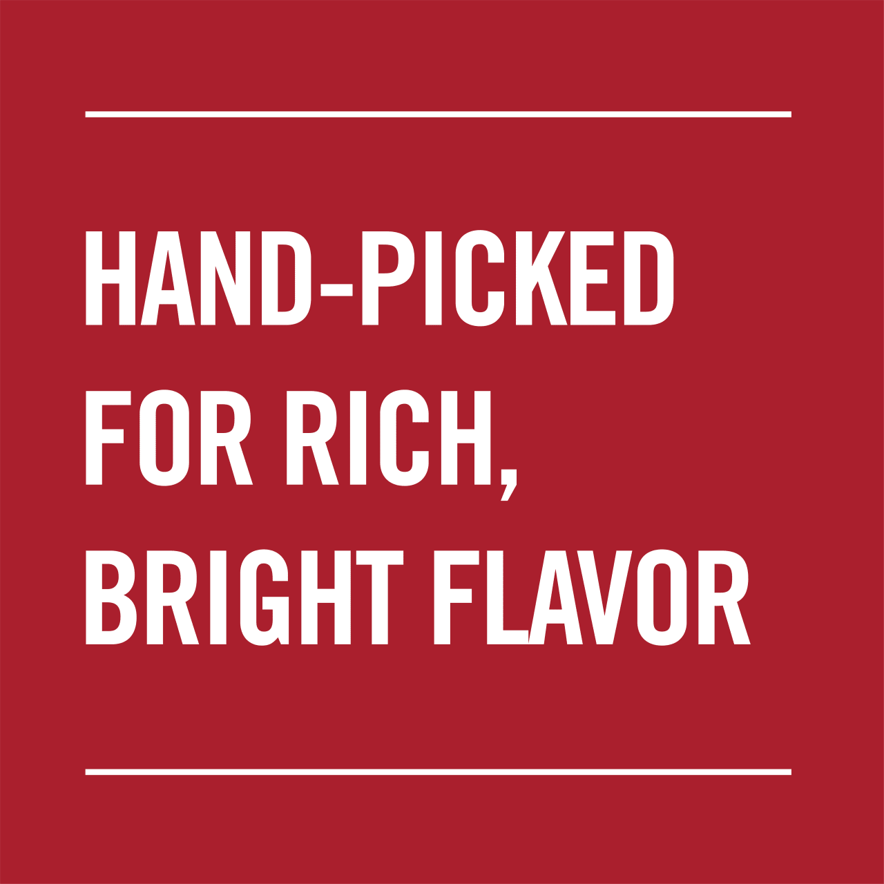 McCormick® Ground Ginger, 1.5 oz - Image 12