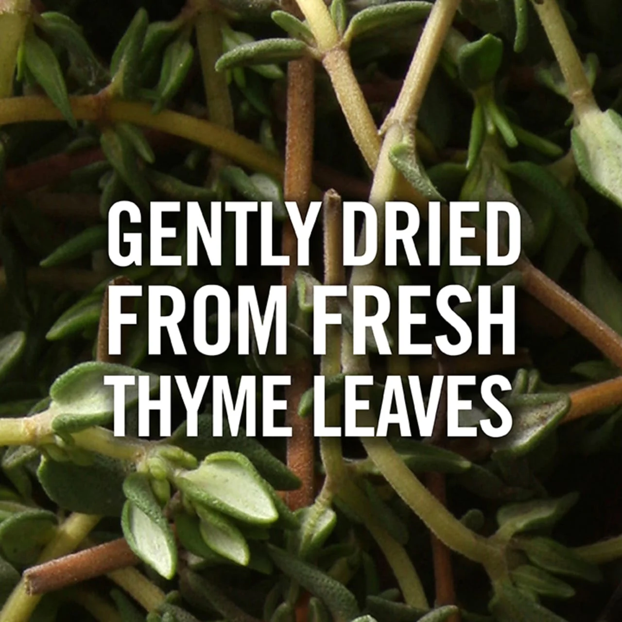 McCormick® Ground Thyme, 0.7 oz - Image 11