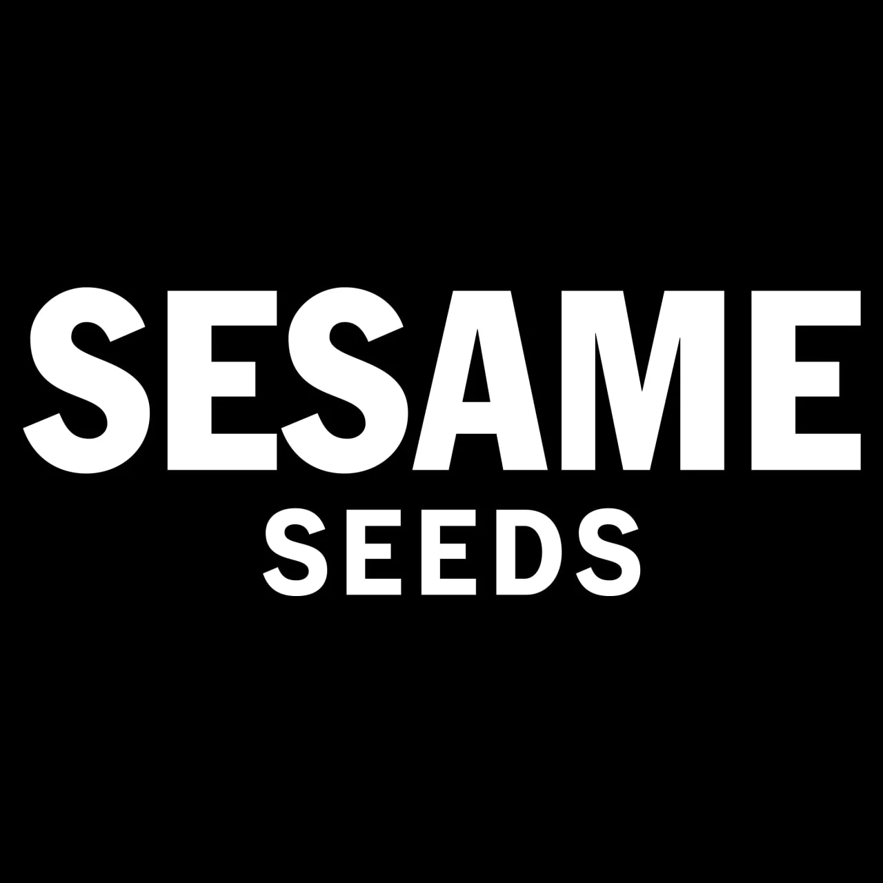 McCormick® Sesame Seed, 1 oz - Image 14