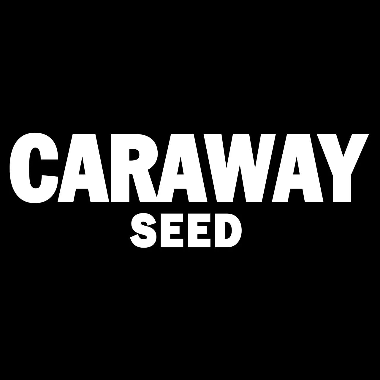 McCormick® Whole Caraway Seed, 0.9 oz - Image 16