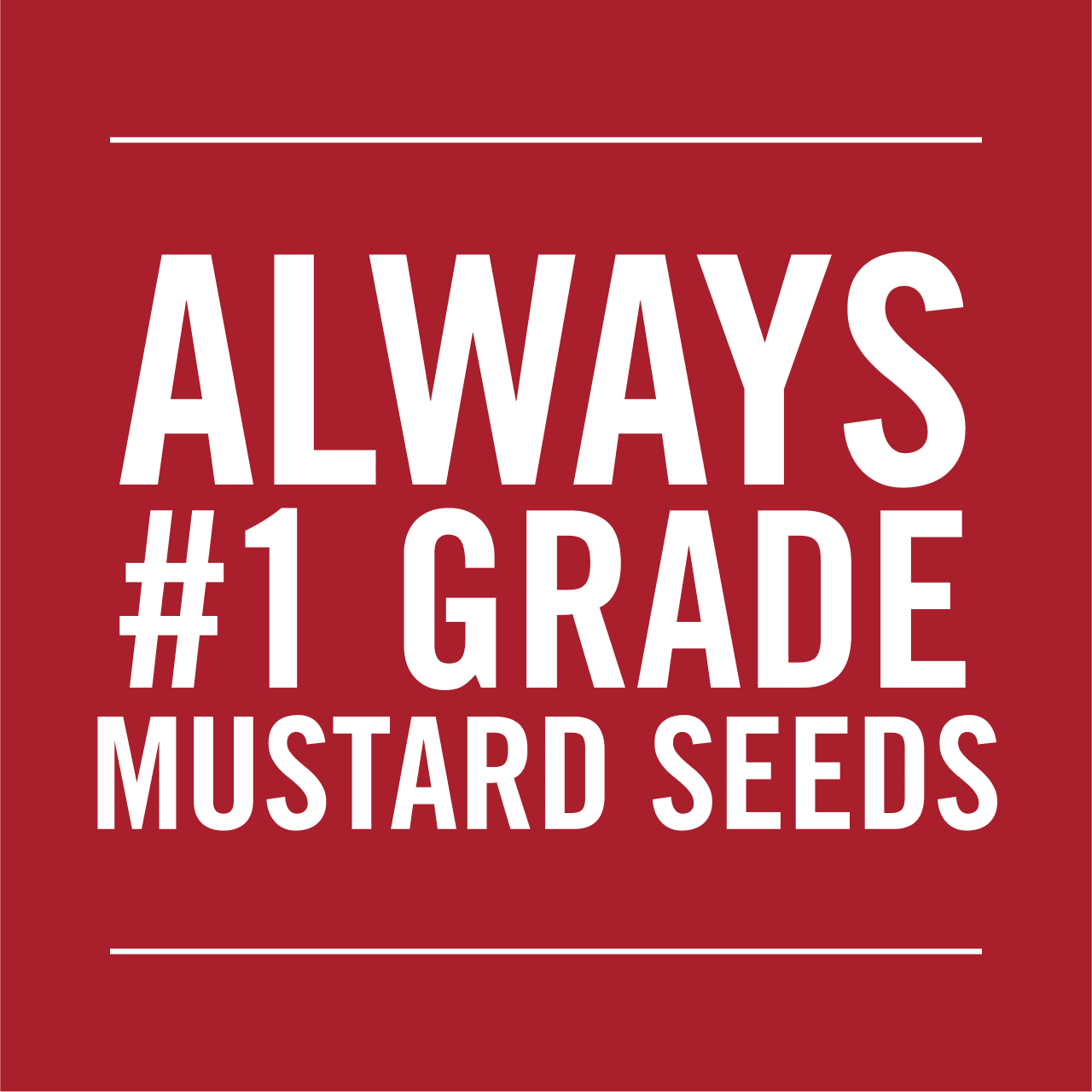 McCormick® Yellow Mustard Seed, 1.4 oz - Image 10