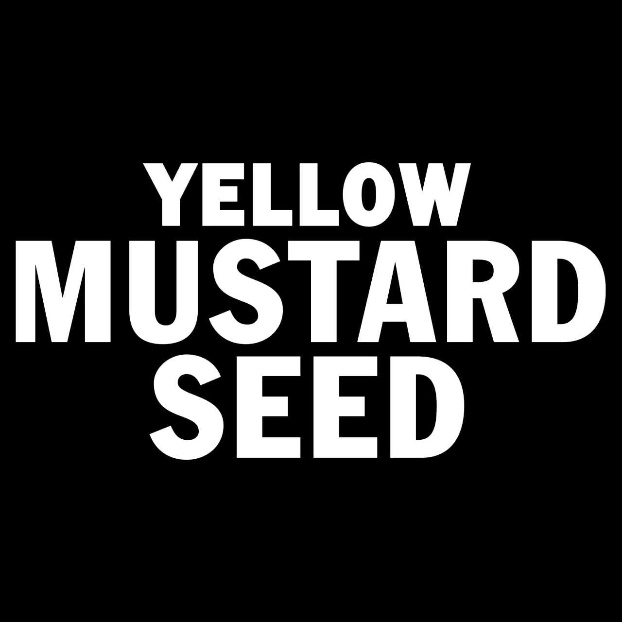 McCormick® Yellow Mustard Seed, 1.4 oz - Image 15