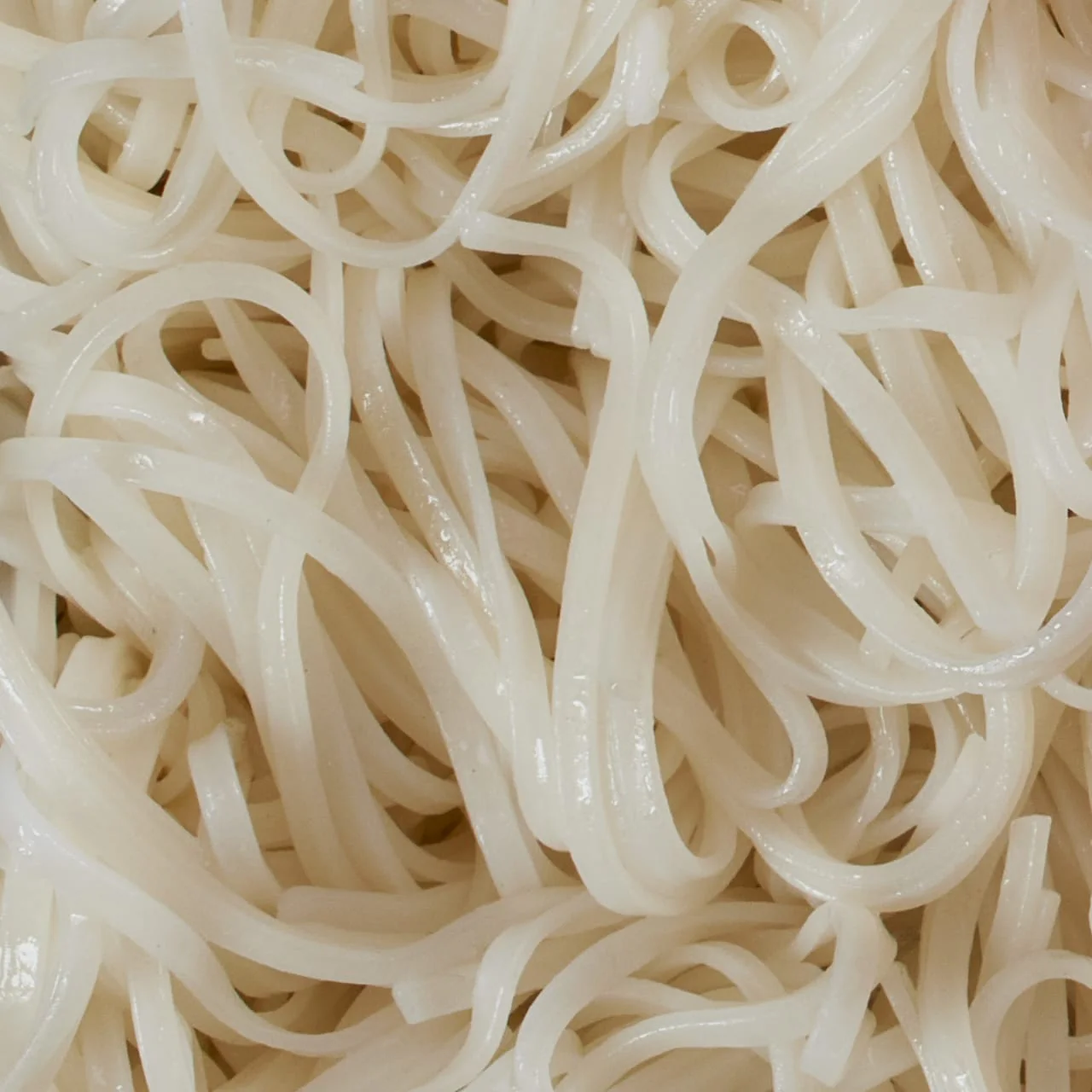 Thai Kitchen® Gluten Free Stir Fry Rice Noodles, 14 oz - Image 15