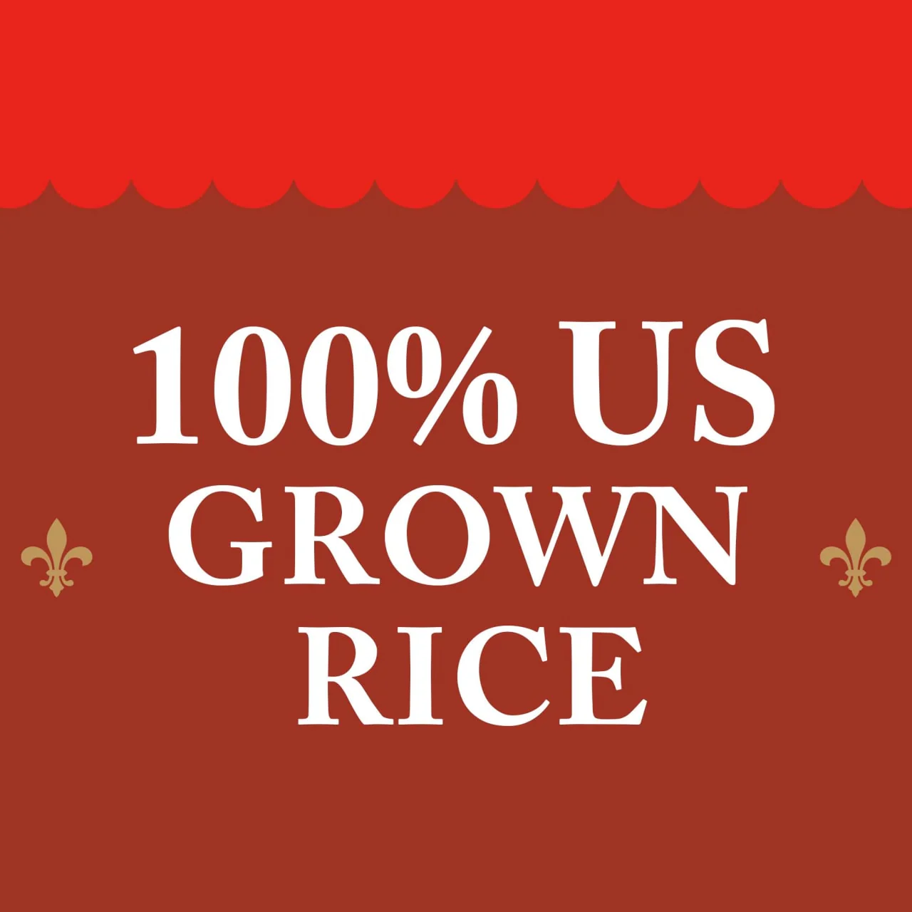 Zatarain's® Enriched Parboiled Long Grain Rice, 5 lb - Image 3